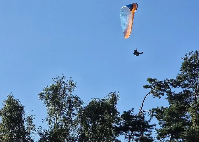 19 W Obiekcie Platinum Apartman *